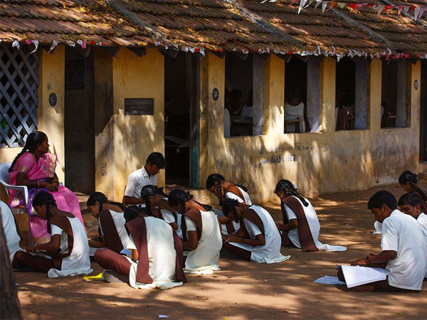 நூலகத் துறையில்