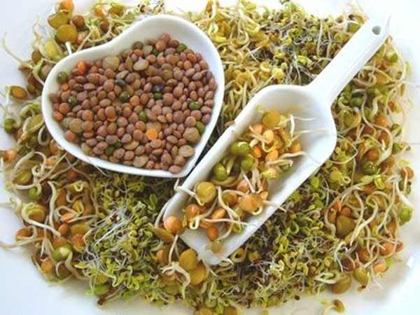 முளை கட்டிய தானியம்