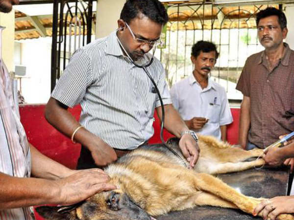 தேசிய தரவரிசைப் பட்டியல்