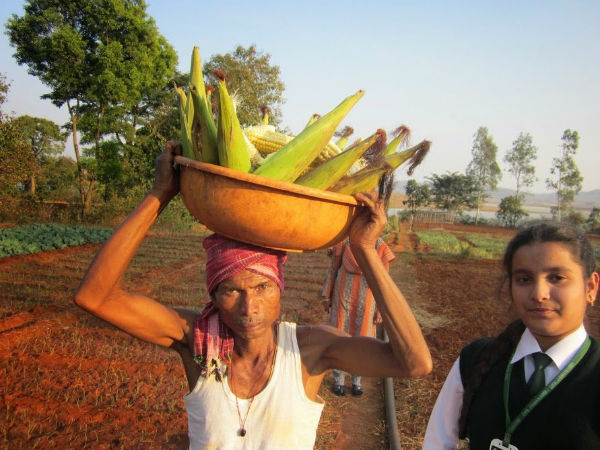 புதிய கல்லூரிகள் தொடங்கப்படும்