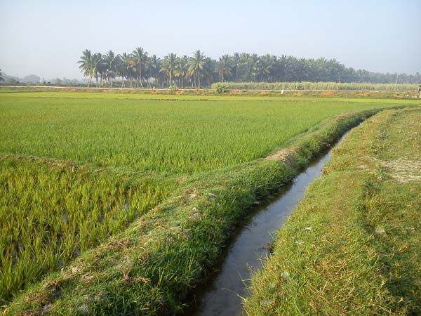 8. இந்தியாவிலுள்ள பாரம்பரிய நீர்பாசன முறைகள் எத்தனை ?