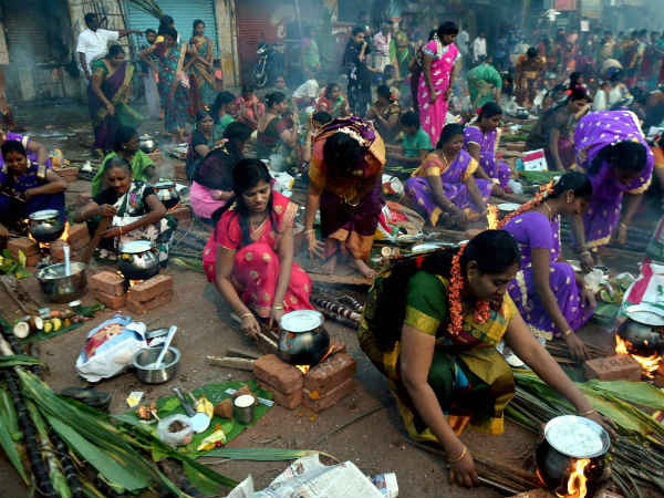 9. பயிர் அறுவடையை தமிழ்நாட்டில் எவ்வாறு கொண்டாப்படுகின்றது ?