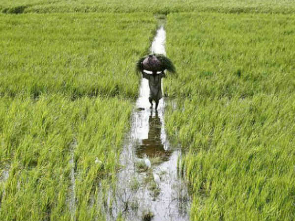 வேளாண்மை சுற்றுசூழலியல் :