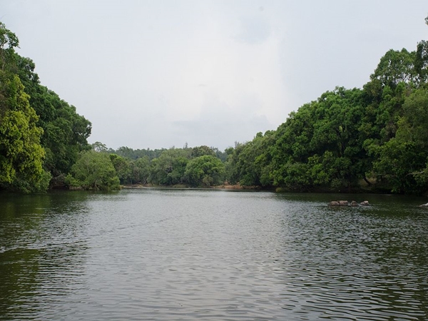 6. தமிழ்நாட்டில் பாயும் மிக நீண்ட ஆறு?