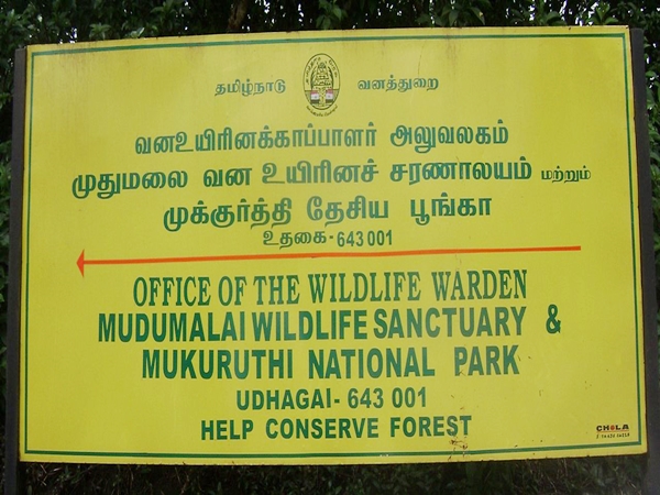 பணி அனுபவம்