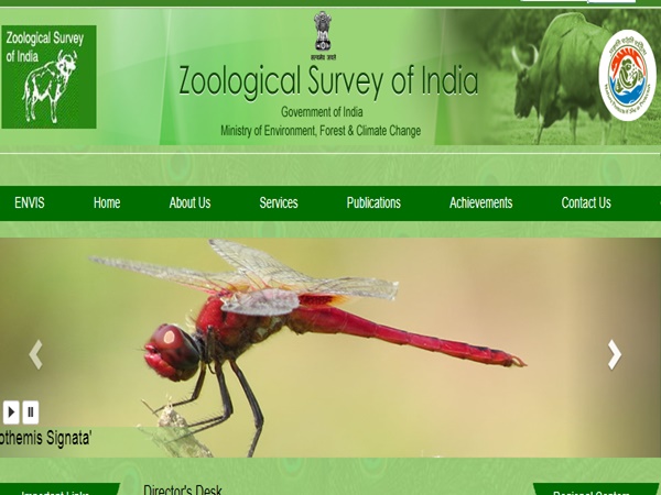 ரூ.47 ஆயிரம் ஊதியத்தில் இந்திய விலங்கியல் ஆய்வு நிறுவனத்தில் வேலை! ரூ.47 ஆயிரம் ஊதியத்தில் இந்திய விலங்கியல் ஆய்வு நிறுவனத்தில் வேலை!