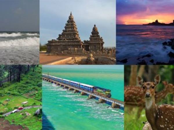 இந்தியாவில் சுற்றுலாப் பயணிகள் அதிகம் பார்வையிடும் மாநிலம் எது?