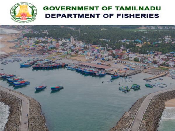 ரூ.70 ஆயிரம் ஊதியத்தில் தமிழக மீன்வளத்துறையில் கொட்டிக்கிடக்கும் வேலை வாய்ப்புகள்! ரூ.70 ஆயிரம் ஊதியத்தில் தமிழக மீன்வளத்துறையில் கொட்டிக்கிடக்கும் வேலை வாய்ப்புகள்!