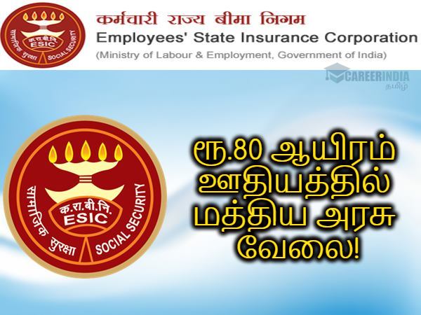 வேலை, வேலை, வேலை! ரூ.80 ஆயிரம் ஊதியத்தில் மத்திய ESIC-யில் கொட்டிக்கிடக்கும் வேலைகள்.! வேலை, வேலை, வேலை! ரூ.80 ஆயிரம் ஊதியத்தில் மத்திய ESIC-யில் கொட்டிக்கிடக்கும் வேலைகள்.!