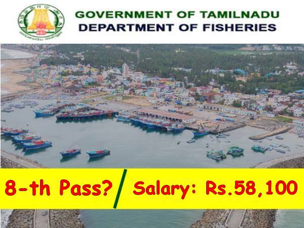 8-வது தேர்ச்சியா? ரூ.58 ஆயிரம் ஊதியத்தில் தமிழக அரசு துறையில் பணியாற்றலாம் வாங்க! 8-வது தேர்ச்சியா? ரூ.58 ஆயிரம் ஊதியத்தில் தமிழக அரசு துறையில் பணியாற்றலாம் வாங்க!