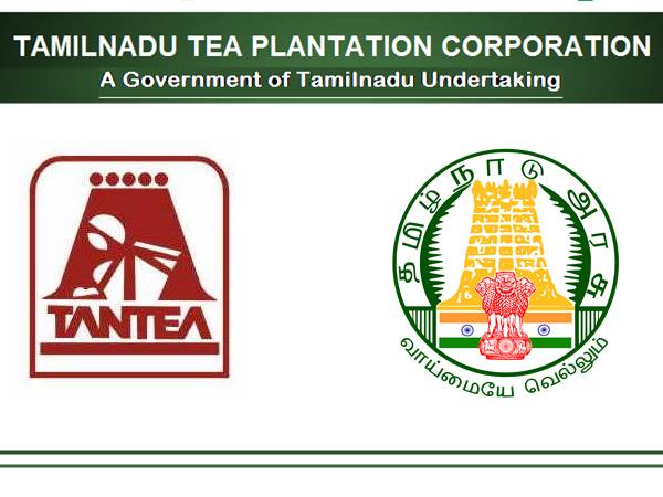 10-வது தேர்ச்சியா? தமிழ்நாடு தேயிலை தோட்டக் கழகத்தில் கொட்டிக்கிடக்கும் வேலை வாய்ப்புகள்! 10-வது தேர்ச்சியா? தமிழ்நாடு தேயிலை தோட்டக் கழகத்தில் கொட்டிக்கிடக்கும் வேலை வாய்ப்புகள்!