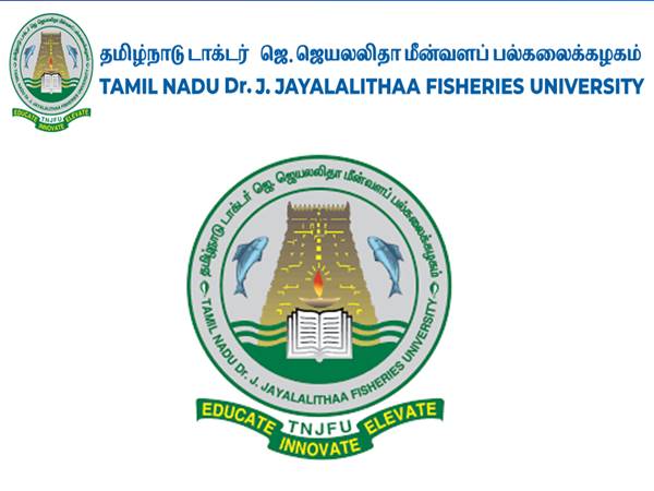 ரூ.33 ஆயிரம் ஊதியத்தில் தமிழக TNJFU துறையில் வேலை வாய்ப்பு! ரூ.33 ஆயிரம் ஊதியத்தில் தமிழக TNJFU துறையில் வேலை வாய்ப்பு!