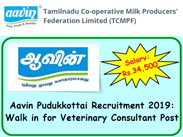 ஆவினில் புதிய வேலைவாய்ப்பு அறிவிப்பு..! ஆவினில் புதிய வேலைவாய்ப்பு அறிவிப்பு..!